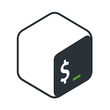 Discovering the Joy of Bash Scripting